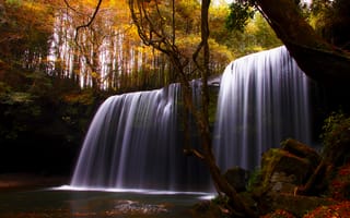Картинка водопад, деревья, природа, осень, река
