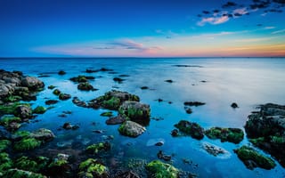 Картинка море, водоросли, горизонт, камни, закат