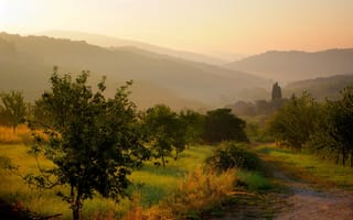 Картинка Castellina in Chianti, Тоскана, солнце, утро, восход, деревья, пейзаж, холмы, Кастеллина-ин-Кьянти, Italy, Италия, тропинка, дорога, трава, природа, сады, Toscana, Tuscany, туман