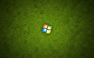 Картинка Windows, зеленый, трава
