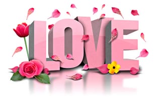 Картинка Love, цветы, цветок, flowers, роза, тюльпан, лепестки, любовь