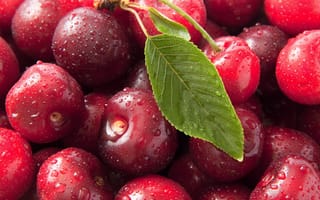 Картинка макро, черешня, вишня, сладкая, ciliege, Sweet cherry, macro