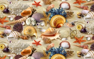 Картинка фон на рабочий, кораллы, textures, ракушки, inhabitants ocean, текстура
