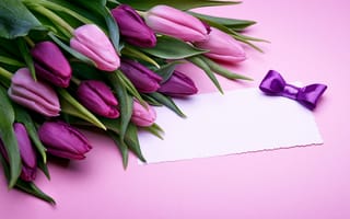 Картинка букет, тюльпаны, розовые, purple, pink, бант, romantic, love, flowers, fresh, gift, tulips