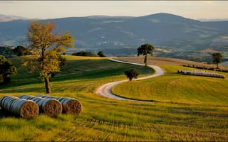 Картинка Italia, холмы, поле, вечер, деревья, дорога