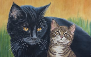 Картинка кот, чёрный, коричневый, природа, котёнок