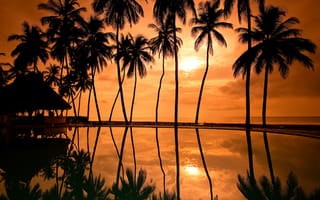 Картинка пальмы, курорты, небо, бунгало, вечер, закат, домик, гаваи, солнце