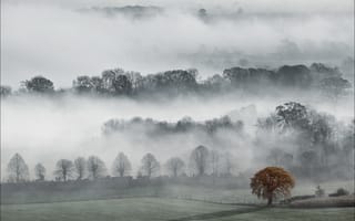 Картинка Англия, осень, Уилтшир, Долина Пеуси, туман, графство