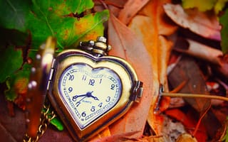 Картинка clock, сердце, осень, листья, autumn, love, leaves, dial, часы, hands, стрелки, heart, циферблат