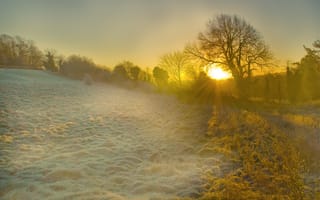Картинка утро, Англия, солнце, поляна, деревья, трава, иней, свет, лучи, рассвет