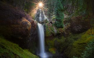 Картинка USA, Gifford Pinchot National Forest, природа, солнце, Carson, водопад, Falls Creek Falls, Washington, Falls Creek, лес