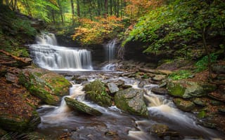 Картинка осень, лес, деревья, камни, река, Пенсильвания, водопад, листья