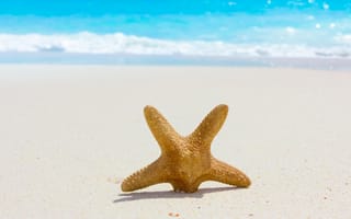 Картинка природа, nature, пляж, starfish, sea, sand, море, beach, summer, лето