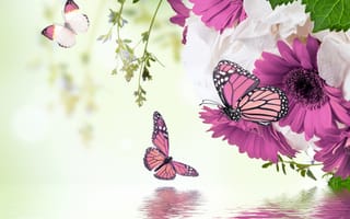 Картинка spring, blossom, refection, purple, water, flowers, butterflies, цветение, вода, gerbera, бабочки, весна, отражение