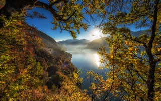 Картинка осень, деревья, Bernese Highlands, Bernese Oberland, Lake Thun, Швейцария, озеро, горы, Thunersee, Бернский Оберланд, Switzerland, ветки, Тунское озеро