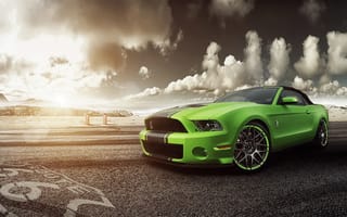 Картинка GT500, green, Shelby, мустанг, Mustang, шелби, зелёный, muscle car, перед, Ford, форд, мускул кар, front