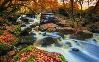 Картинка осень, листья, Saint-Herbot, водопад, деревья, Бретань, France, Франция, камни, мох, Breizh waterfalls, Brittany, каскад