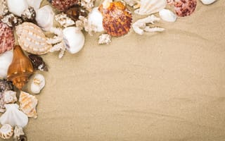 Картинка песок, пляж, ракушки, природа, маре