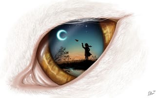 Картинка арт, кошачий глаз, самолетик, ночь, луна, небо