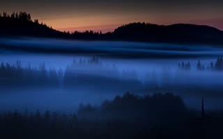 Картинка туман, поле, пейзаж, ночь