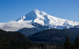Картинка Маунт-Худ, небо, туман, лес, вулкан, гора, пейзаж, Северная Америка, Mount Hood, дымка, снег, синева, вершина