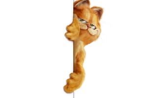 Картинка Garfield, cat, Гарфилд, кот, рыжий