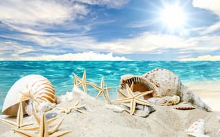 Картинка seashells, ракушки, звезды, sand, солнце, sea, песок, starfishes, summer, sunshine, beach, море, пляж
