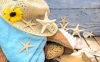 Картинка seashells, звезды, пляж, starfishes, песок, аксессуары, beach, wood, sand, ракушки, шляпа