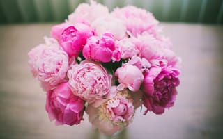 Картинка Пионы, розовые, цветы, букет, лепестки