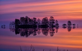 Картинка США, небо, деревья, отражение, вечер, закат, озеро, Северная Каролина