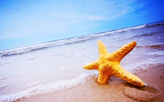 Картинка песок, море, sand, beach, summer, пляж, звезда, sea