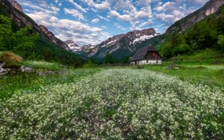 Картинка цветы, горы, Julian Alps, Юлийские Альпы, луг, дом, долина, Slovenia, Zadnja Trenta valley, Словения