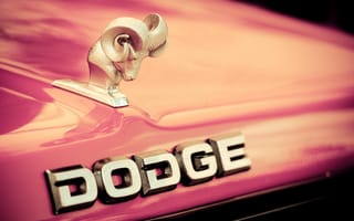 Картинка Dodge, эмблема, лого, капот