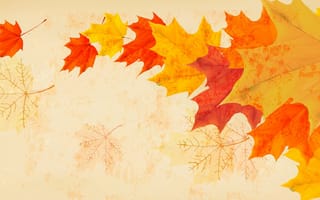 Картинка листья, ветер, осень