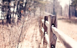 Картинка fence, bokeh, ограждение, blur, macro, осень, warm