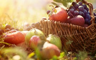 Картинка корзина, трава, виноград, яблоки