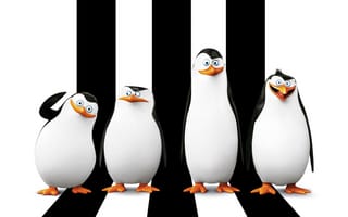 Картинка Пингвины Мадагаскара, Kowalski, Рико, Penguins of Madagascar, Skipper, Classified, Ковальски, Corporal, мультфильм, Прапор, Шкипер