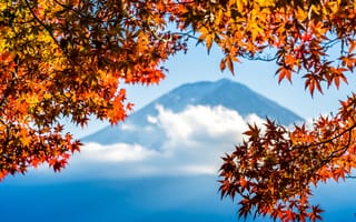 Картинка осень, небо, Япония, листья, red, Japan, клен, colorful