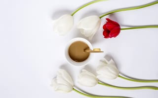 Картинка цветы, тюльпаны, white, red, cup, coffee, wood, белые, tulips, чашка кофе, flowers