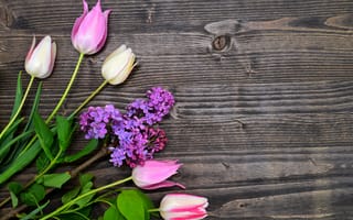 Картинка тюльпаны, wood, lilac, flowers, сирень, pink, spring, tulips