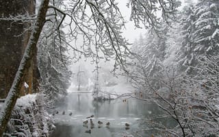 Картинка парк, лед, снег, утки, снегопад, зима, пруд