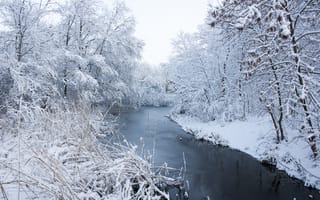 Картинка зима, снег, landscape, river, река, пейзаж, white, деревья