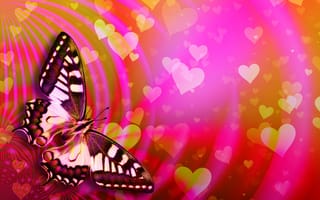 Картинка бабочка, сердечки, День Святого Валентина