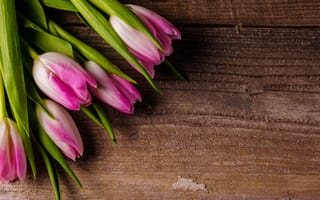 Картинка цветы, букет, fresh, flowers, pink, розовые, тюльпаны, wood
