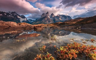 Картинка Южная Америка, Nordenskjöld Lake, Чили, Патагония, национальный парк Торрес-дель-Пайне, Февраль, горы Анды