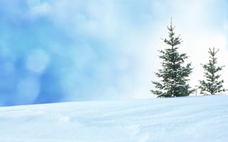 Картинка природа, пейзаж, деревья, зима, снег