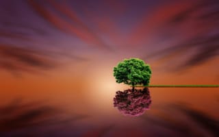 Картинка Parallel Life, дерево, отражение, fine art
