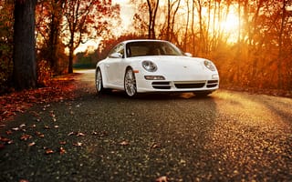 Картинка Porsche 911 Carrera S, Порше, 911, осень, белый