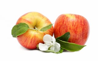 Картинка цветы, яблоки, фрукты