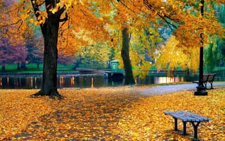 Картинка листва, осень, деревья, пруд, природа, парк